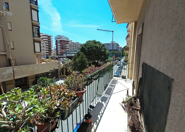 Gæstehus Olivarooms Palermo